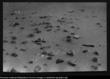 Dziarnowizna, stanowisko archeologiczne (pozostałości dymarek)