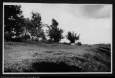 Czarna Wielka, cmentarzysko