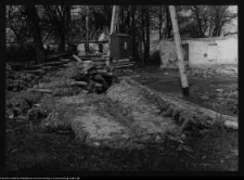 Cisów, ogród dworski