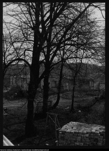 Cisów, ogród dworski