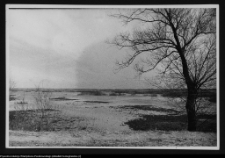 Kalin&oacute;wka Kościelna, okolice