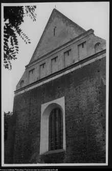 Rosochate Kościelne, kości&oacute;ł p.w. św. Doroty