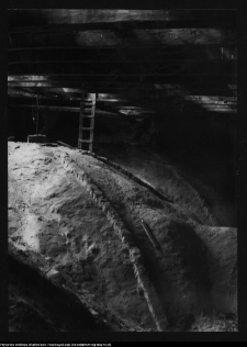 Łomża, katedra p.w. św. Michała Archanioła