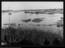 Łomża, rzeka Narew