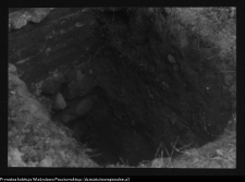 Łomża, katedra p.w. św. Michała Archanioła