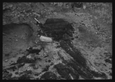 Tykocin, ruiny zamku