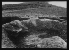 Tykocin, ruiny zamku