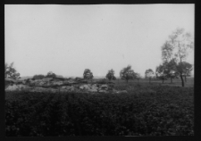 Tykocin, ruiny zamku