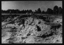 Tykocin, ruiny zamku