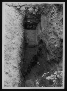 Tykocin, ruiny zamku