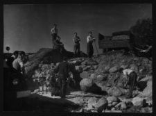 Tykocin, ruiny zamku