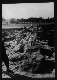 Tykocin, ruiny zamku