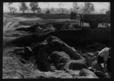 Tykocin, ruiny zamku