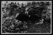 Tykocin, ruiny zamku