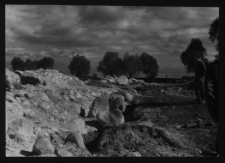 Tykocin, ruiny zamku