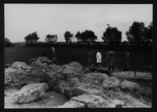 Tykocin, ruiny zamku