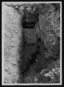 Tykocin, ruiny zamku