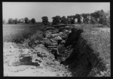 Tykocin, ruiny zamku