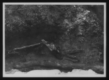 Tykocin, ruiny zamku