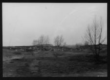 Tykocin, ruiny zamku