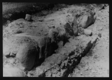 Tykocin, ruiny zamku