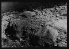 Tykocin, ruiny zamku