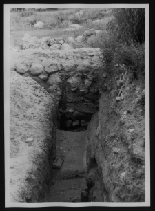 Tykocin, ruiny zamku