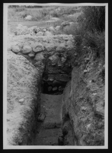 Tykocin, ruiny zamku