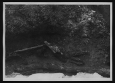 Tykocin, ruiny zamku