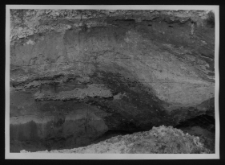 Tykocin, ruiny zamku