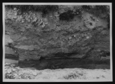 Tykocin, ruiny zamku