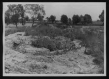 Tykocin, ruiny zamku