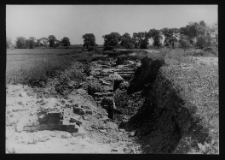 Tykocin, ruiny zamku