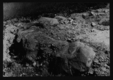 Tykocin, ruiny zamku