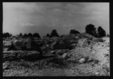 Tykocin, ruiny zamku