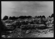 Tykocin, ruiny zamku