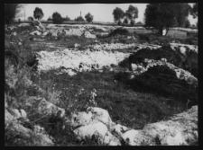 Tykocin, ruiny zamku