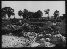 Tykocin, ruiny zamku