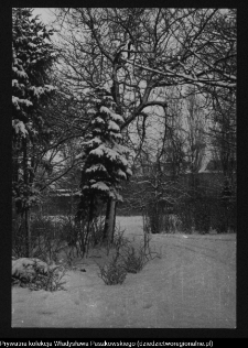 Białystok, Pałac Branickich