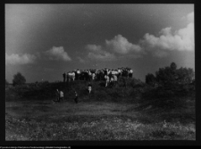 Tykocin, konserwatorski objazd studyjny