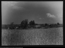 Tykocin, konserwatorski objazd studyjny