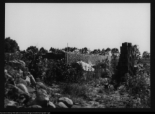 Tykocin, zabezpieczanie ruin zamku