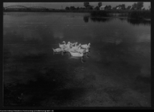 Tykocin, most na Narwi