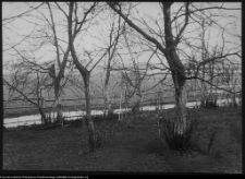 Strabla, park pałacowy