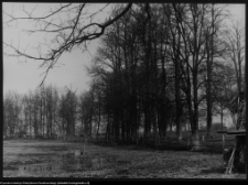 Strabla, park pałacowy