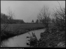 Strabla, rzeka Orlanka