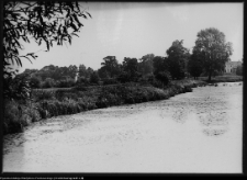 Strabla, park pałacowy