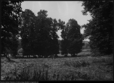 Strabla, park pałacowy