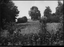 Strabla, park pałacowy