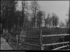 Strabla, park pałacowy
